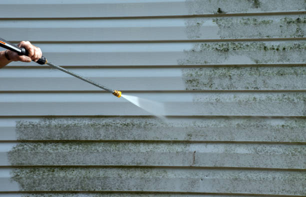 Best Affordable Mold Removal  in Camp Barrett, VA