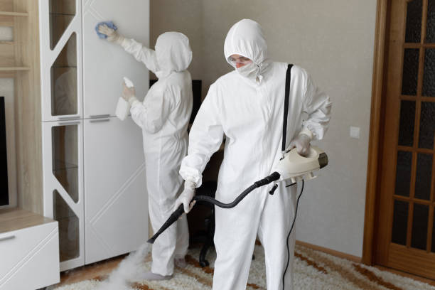 Best Commercial Mold Removal  in Camp Barrett, VA