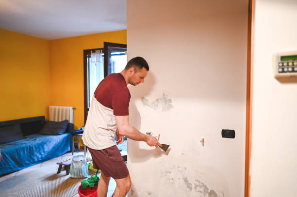 Best Residential Mold Removal  in Camp Barrett, VA